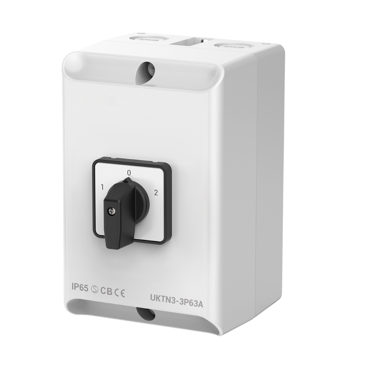 FuseBox FCO2P063 63A 2 Pole AC Changeover Switch