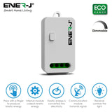 Enerj WS1056X Eco Range Dimmable 100W Receiver