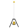Eterna E14UP 110V 72W 6000K Uplight