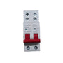 FuseBox IT1002DS 100A Double Pole Main Switch with Dual Screw Terminals
