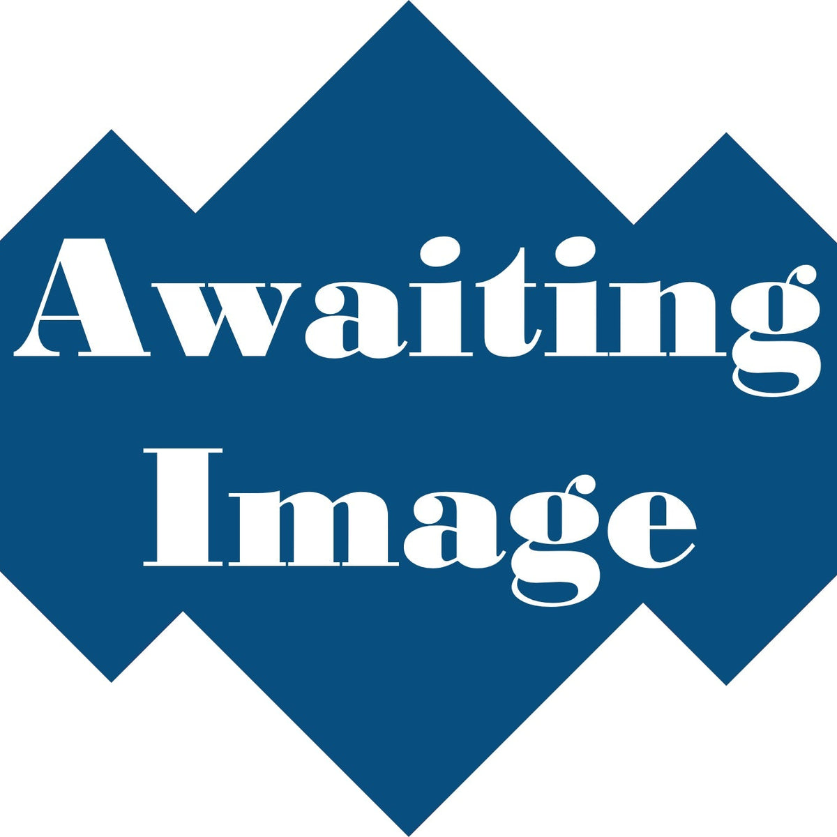 FuseBox RTA1001002 100A 2 Pole 100mA Type A RCD