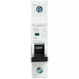 FuseBox Single Pole 6kA C Curve MCB